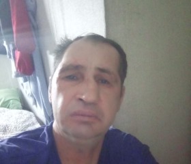 Владимир, 44 года, Петропавловск-Камчатский