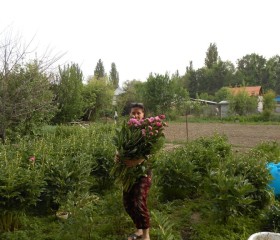 Елена, 60 лет, Алматы