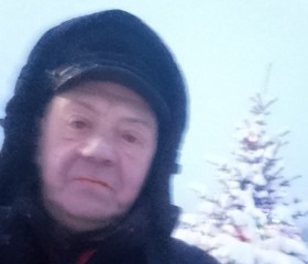 Владимир, 41 год, Талица