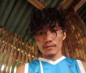 Vincent manalili, 33 года, Cebu City