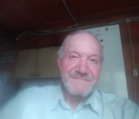 Василий, 65 лет, Санкт-Петербург