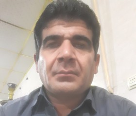 محسن, 42, Tabriz