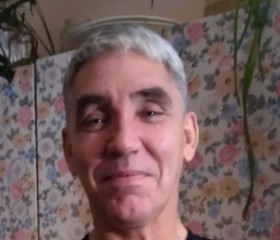 Виталий, 51 год, Колпашево