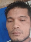 Jonathan Felitro, 37 лет, Roxas City