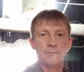 Николай Добрын, 46 лет, Старая Чара