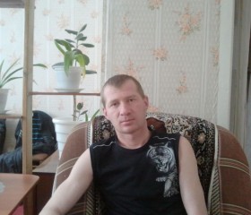 Алексей, 45 лет, Арамиль