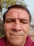 david, 52 года, Santiago de Chile