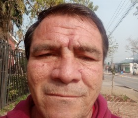 david, 52 года, Santiago de Chile