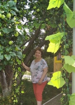 Olga, 60, Russia, Troitsk (Chelyabinsk)