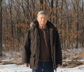 Владимир, 75 лет, Владивосток