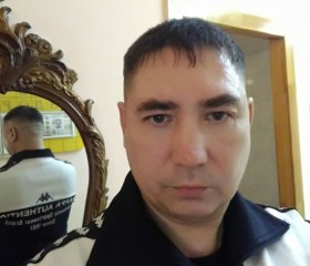 Александр, 42 года, Барнаул