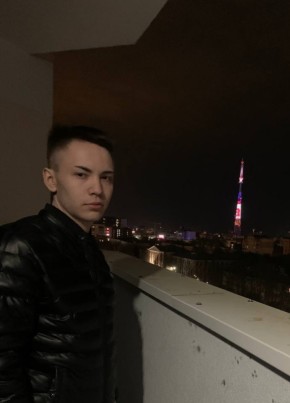 Степан, 24, Россия, Камешково