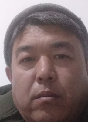 Ерлан, 44, Қазақстан, Алматы