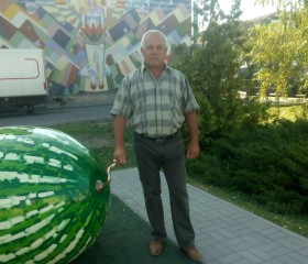 Андрей, 66 лет, Камышин