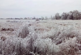 Светлана, 47 - дождались зиму 2014