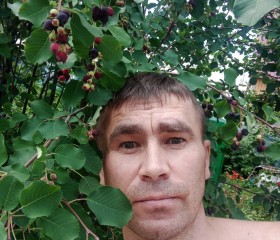 OlegSurgut, 33 года, Сургут