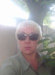 Светлана, 51 год, Симферополь