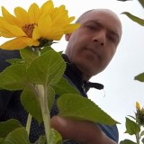 alouajdijera