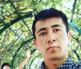Meder Saparbaev, 30 лет, Бишкек