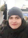 Дмитрий, 26 лет, Пересвет