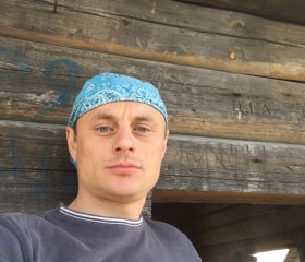 Евгений, 42 года, Верхняя Пышма