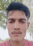 Suresh Singh, 28 лет, Indore