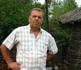 Владимир, 62 года, Маркс