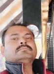 Rajinderpal, 31 год, Jalandhar
