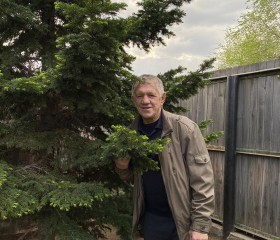 Владимир, 68 лет, Павлодар