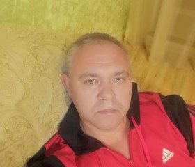 Роман, 45 лет, Курск