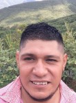 Jiulian, 35 лет, Monterrey City