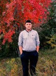 Aleksandr, 35, Novosibirsk