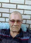 Николай, 69 лет, Новосибирский Академгородок