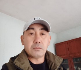 Рашид, 43 года, Бишкек