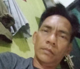 Budhy, 40 лет, Daerah Istimewa Yogyakarta