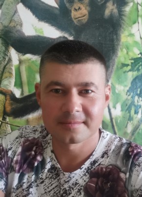 Андрей, 42, Россия, Прохладный