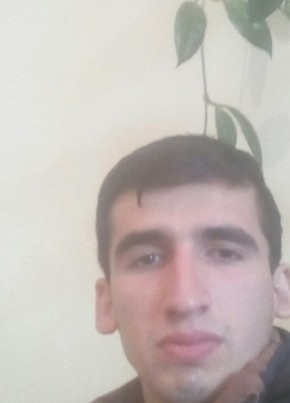 Sinan, 28, Azərbaycan Respublikası, Sheki