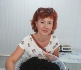 Алена, 53 года, Москва