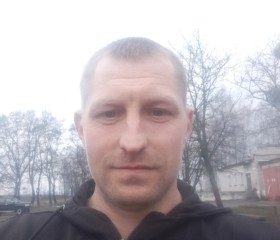 Николай, 37 лет, Горад Гомель