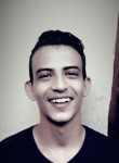 Ahmed , 23 года, الأقصر