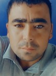 Iskandar Meliqoz, 33 года, Toshkent