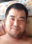 Damir, 31, Almaty