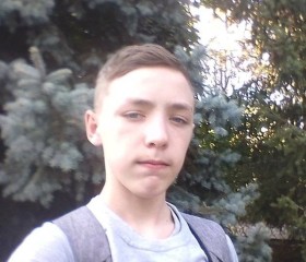Даниил Жалыбин, 20 лет, Камянське