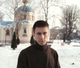 Дмитрий, 26 лет, Губкин