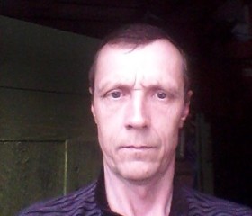 Леонид, 52 года, Челябинск