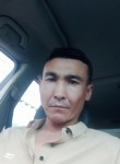 Beknur, 39 лет, Бишкек