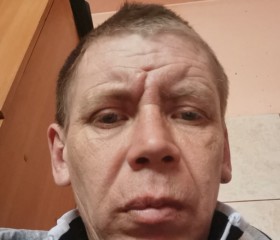 Виктор, 44 года, Саянск