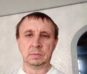 Сергей, 50 лет, Железногорск (Курская обл.)