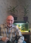 Виктор, 71 год, Горад Мінск