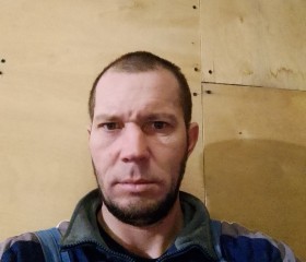 Антон Кузьменко, 38 лет, Тюмень